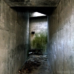 underground vault4.jpg
